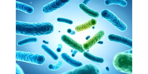 5 jel, hogy szükséged van probiotikumokra