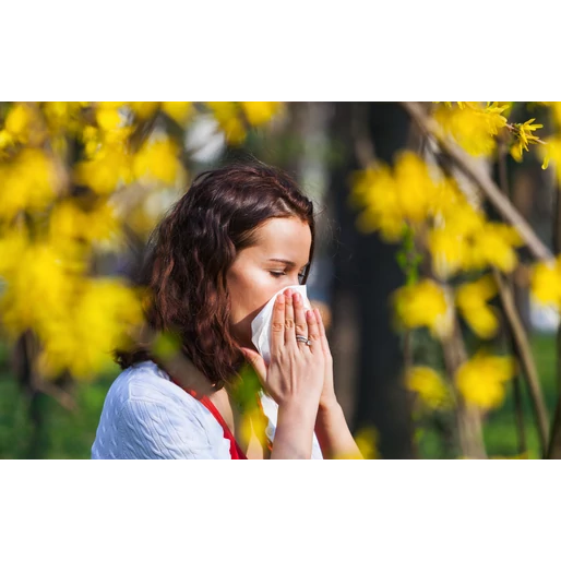 Hogyan készítheted fel bélflórád az allergiaszezonra?