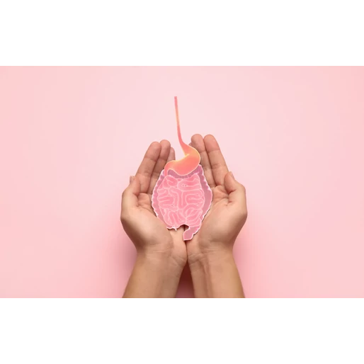 Bélrendszeri méregtelenítés: előnyök, mítoszok és minden, amit tudnod kell