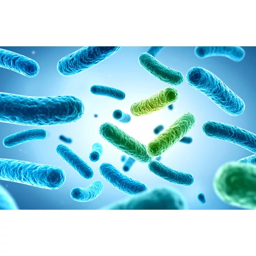 5 jel, hogy szükséged van probiotikumokra