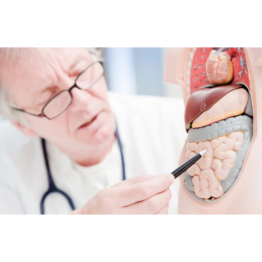 A poszt-COVID hatással lehet a bélrendszerre?