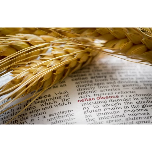 A bélflóra és a cöliákia: avagy a bélbaktériumok szerepe