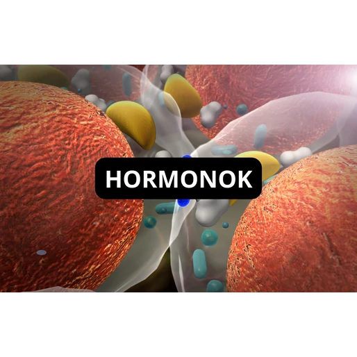 A bél egészsége és a hormonok