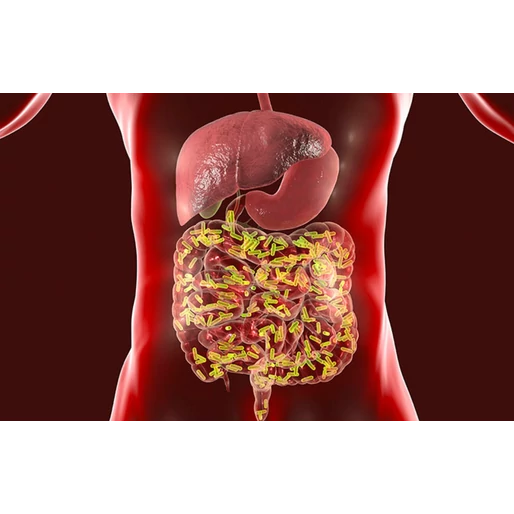 Melyik béltípushoz tartozol?