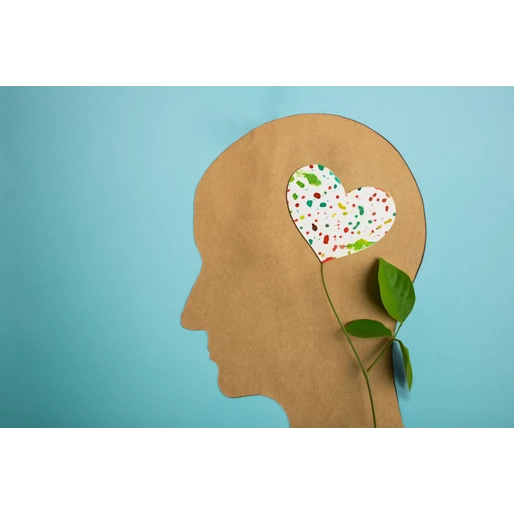 A stabil mentális állapot kulcsa az egészséges bélflóra?