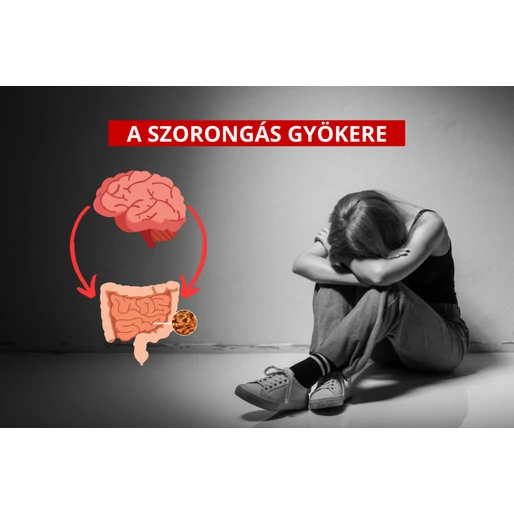 Szorongás és depresszió - egyenesen a belekből
