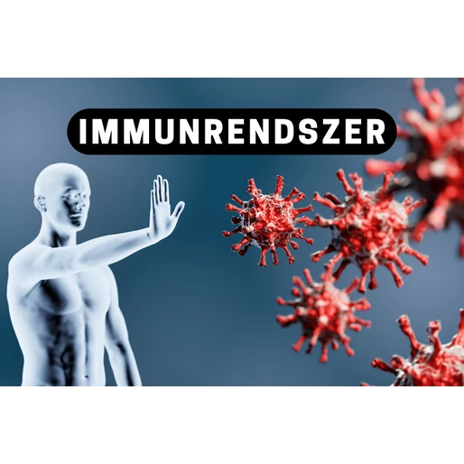 Az immunrendszer szabotőrei: a rejtett gyulladások