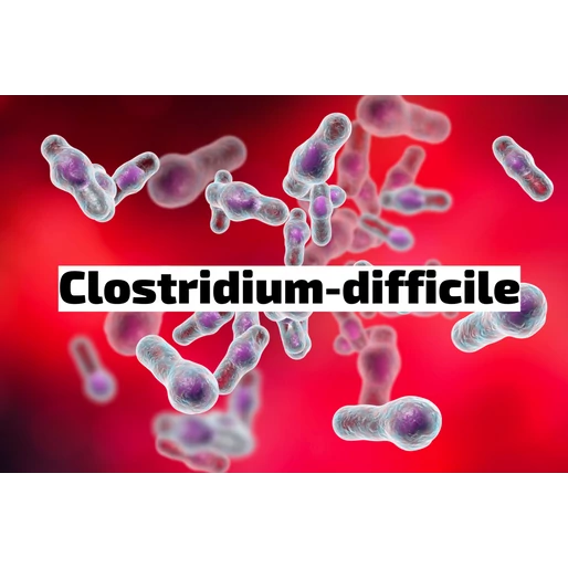 Egy furcsa nevű baktérium, a clostridium difficile