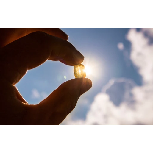 A D-vitamin helye a bélflórában