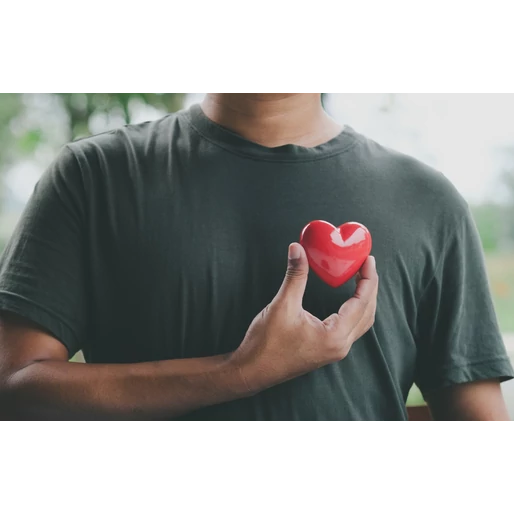 Kapcsolat a bélrendszer és a szív egészsége között