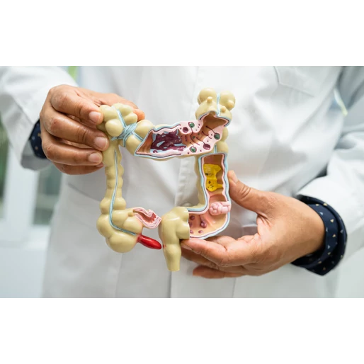 Az emésztésen túl: az egészséges bél 18 előnye