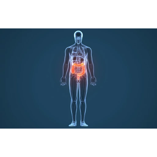 Honnan tudod, hogy egészséges a bélrendszered? 