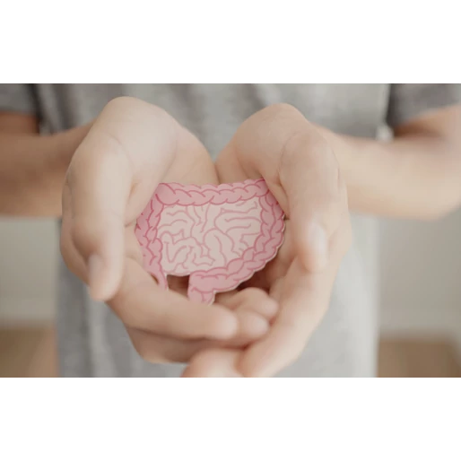 Miért van szükség jó bélrendszerre a boldog hormonokhoz?