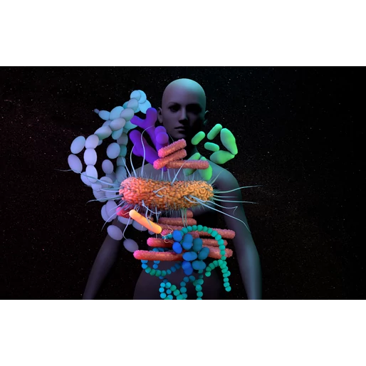 Ismerd meg a testedben élő mikroorganizmusok rejtett világát!