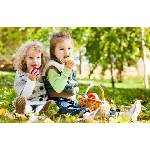 Ezeket az ételeket fogyaszd ősszel a bél, az agy és az immunrendszer érdekében 
