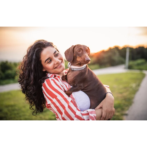 Hogyan tesznek jót a háziállatok a bélrendszerünknek?