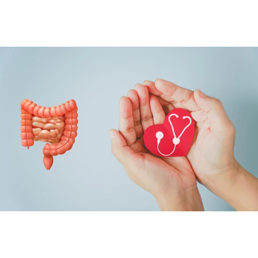 Befolyásolja a bélrendszered a szíved egészségét?