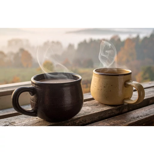 Sokat tehetsz a bélflórádért, ha a reggeli kávét időnként teára cseréled