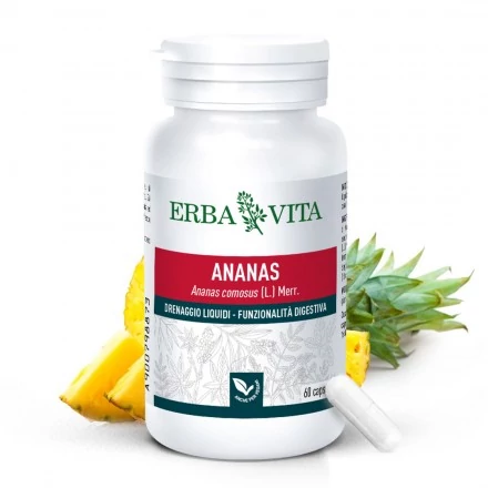 Natur tanya Erbavita ananász 60 db